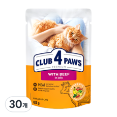 클럽4포우즈 프리미엄 파우치 어덜트캣 비프젤리, 85g, 30개, 소