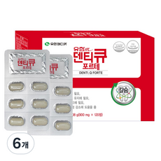 유한메디카 덴티큐 포르테 2개월분 칼슘, 120정, 6개