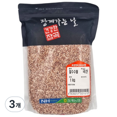 [농협] [25년산] 장수 장계농협 국산 찰수수, 3개