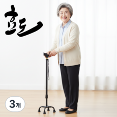 효도 지팡이 어르신 보행보조 노인지팡이 안전손잡이 (블랙), 3개, 검은색