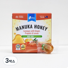 트루블루 프로폴리스 마누카 허니 캔디 MGO 600+ 호주산, 3박스, 60g