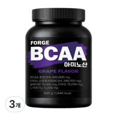 포지 BCAA 아미노산 아르기닌 글루타민 헬스부스터 포도맛, 3개, 500g
