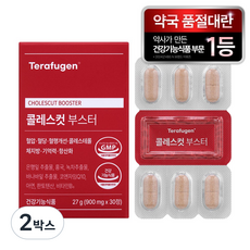 테라퓨젠 콜레스컷 부스터, 2박스, 30정 2박스, 30정