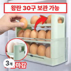 라온리빙 계란 보관 트레이 30구계란보관함 3단, 그린, 3개