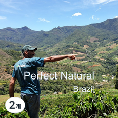 [커피생두] 브라질 퍼펙트내추럴 1kg/ Brazil 스페셜티 커피 생두, 2개, 1kg
