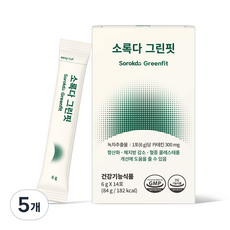 소록다 그린핏, 5개, 84g