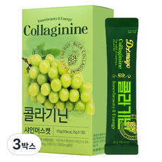 콜라기닌 골프 등산 라운딩 간식 아르기닌 콜라겐, 175g, 3박스