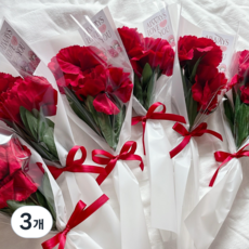 디아나로웰 조화 카네이션 한송이 어버이날 스승의날 선물 꽃다발 두송이, 3개, 가넷레드