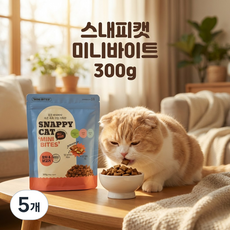 스내피캣 미니바이트 고양이 간식, 5개, 300g, 참치맛