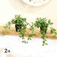 인테리어 조화 행잉플랜트 벽장식 가랜드 뉴행잉넝쿨화분, 2개, 페페