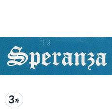재사용 가능한 지워지는 셀프 헤나타투 도안 S-01~10, 3개, S-09