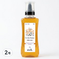 설악산허니팜 자연벌꿀 때죽나무꿀, 500g, 2개