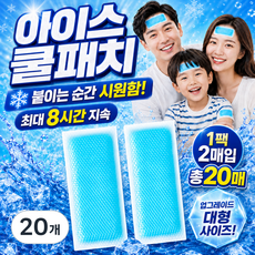 엘리준 붙이는 냉각 아이스 쿨패치 쿨팩, 20개