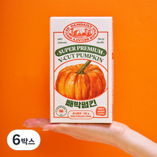 빼박펌킨 늙은 호박차 액상스틱 붓기 저당음료 호박즙 50g 14개입, 6박스, 700g