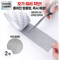 델리디 방충망 모기장 보수 수리 강력접착 테이프, 2개