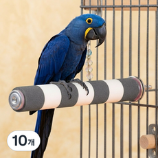 앵무새 발톱갈이 스톤 횃대, 10개, 그레이