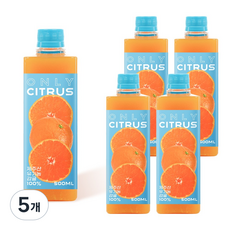 귤메달 제주 유기농 감귤주스 / 100% NFC 착즙, 5개, 500ml