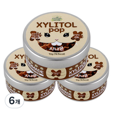 자일리톨팝 틴케이스 시나몬, 70g, 6개