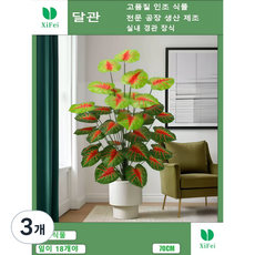실내 장식에 사용되는 인공 홍심토란나무는 18개의 잎이 높이 70cm 인공 꽃 인공 식물이다, 3개, 홍심토란 나무 높이 70cm