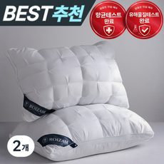 로이잠 빵빵한 고급 향균 숙면 호텔 베개, 2개, 엣지화이트
