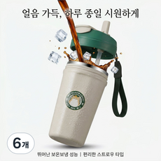 MEMEU 304 스텐 콜라 커피 휴대용 텀블러 MU-YDS-272, 6개, 620ml, one size
