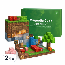 KC인증 마크 자석블럭 랜덤 블록 200피스 마그네틱 큐브 피규어 웰키 자석 장난감, 2박스, 120개블럭