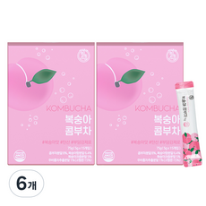 힐스랩 콤부차 복숭아, 5g, 15개입, 6개