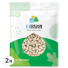 더옹달샘 엄선한 우수품질 깐 연자육 500g 연꽃씨 연밥, 2개