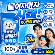 KC인증 붙이는 쿨패치 냉각시트 온가족 대용량 어린이 해열패치, 100개