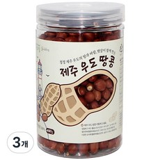 지구마을 제주 우도 볶은땅콩, 3개, 450g