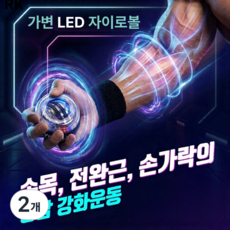 필 바이브 자이로볼 손목 전완근 악력강화 led 조명, 2개, 플래티넘 챌린지6