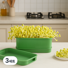 제이로이 가정용 수경재배 콩나물 키우기 재배기 트레이, 3세트
