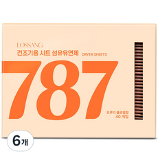 로쌩 드라이시트 건조기용 섬유유연제 본품, 6개, 40개입