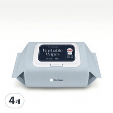 아임클린 비데물티슈 캡형 무향, 60g, 100매, 4개