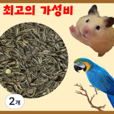 [당일배송] 가성비 세척하고 볶은 해바라기씨 앵무새 햄스터 간식, 2개, 100g