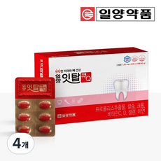 일양약품 치아 잇몸 영양제 잇탑큐