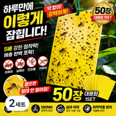 파리 끈끈이 50장 대용량 러브버그 초파리 날파리 트랩 식물 화분 해충 제거 끈끈이 스티커, 2세트, 50매