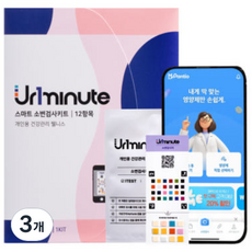 [약국 자가키트]유리미닛 소변 검사 개인용 가정용 소변검사지 PH 잠혈 요산 케톤 잠혈 단백뇨 단백질 12종, 3개, 1세트