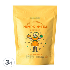 스키니퓨리티 펌킨펌킨티 늙은호박차 삼각티백, 1.5g, 30개입, 3개