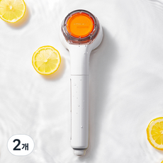 루헨스 비타민 필터 샤워기 WCS-110, 2개