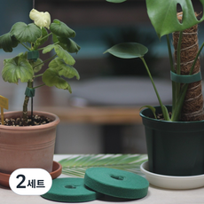 앤디네상점 식물 벨크로 타이 원예용 식물고정 타이 10mm + 15mm 세트, 2세트