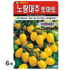 노랑대추토마토 씨앗 토마토 씨 종자, 6개