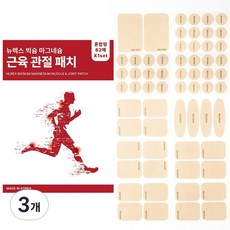 빅슘 마그네슘 패치 근육 관절 패치, 3개