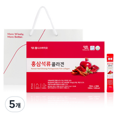 6년근 홍삼 석류 콜라겐 쇼핑백 저분자 피쉬 펩타이드 스틱, 300ml, 5개