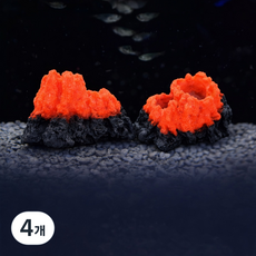 어항 화산 기포기 장삭품, 4개