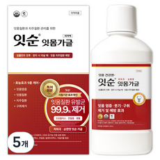 잇순 잇몸붓기 염증 예방 특허성분 입냄새제거 프로폴리스 천일염 병풀 구강청결제, 5개, 600ml