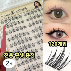 비벨르 노글루 속눈썹, 2개, 블랙