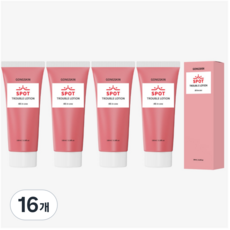 공스킨 병풀추출물 트러블 스팟 올인원 로션, 100ml, 16개