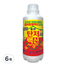 농업마켓365 융전 탄저백신 액제 식물영양제 비료 탄저병 고추무름 예방 회복, 6개, 500ml