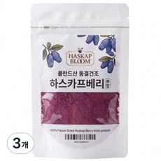 동결건조 하스카프베리분말 폴란드산 c3g, 30g, 3개